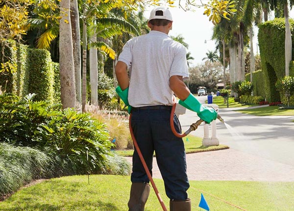 About Milaca MN Pest Control
